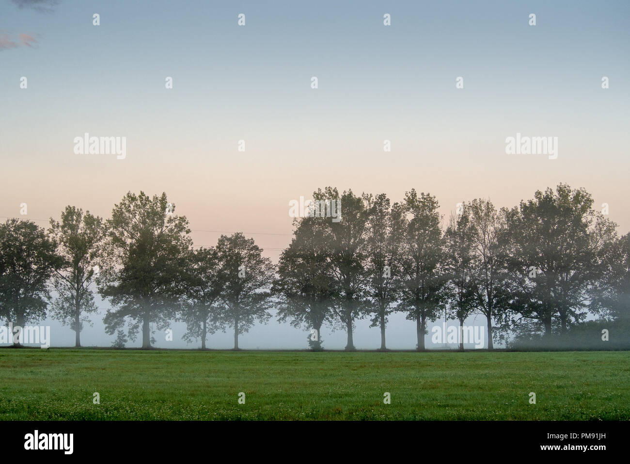 Nebel in der Landschaft. Morgen Dunst durch den Sonnenaufgang. Stockfoto