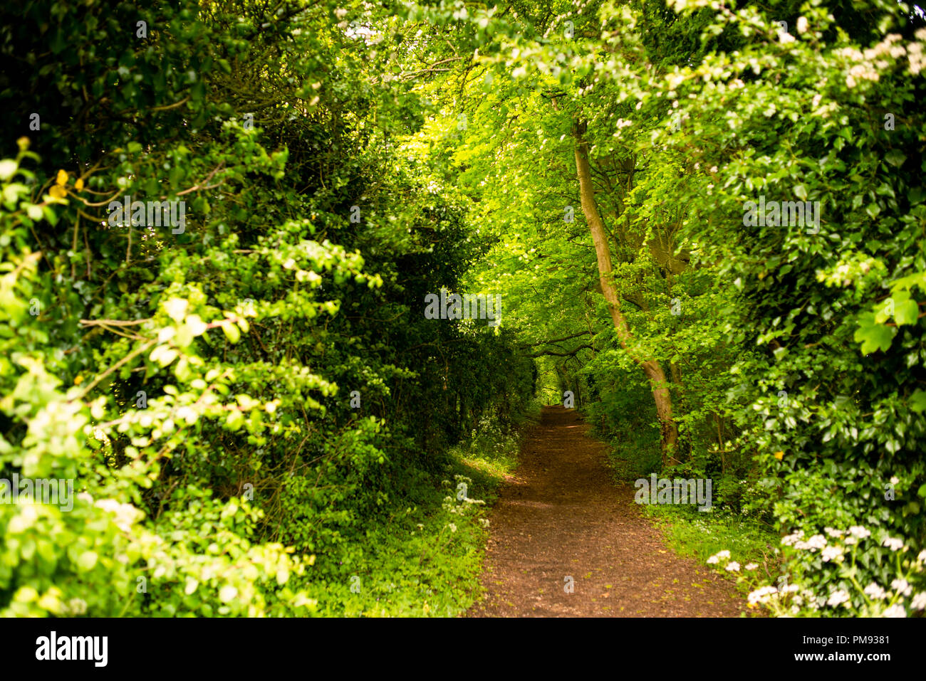 Recht auf Weg oder Recht, um Wanderwege in ganz England, Cotswold District, zu erkunden. Stockfoto