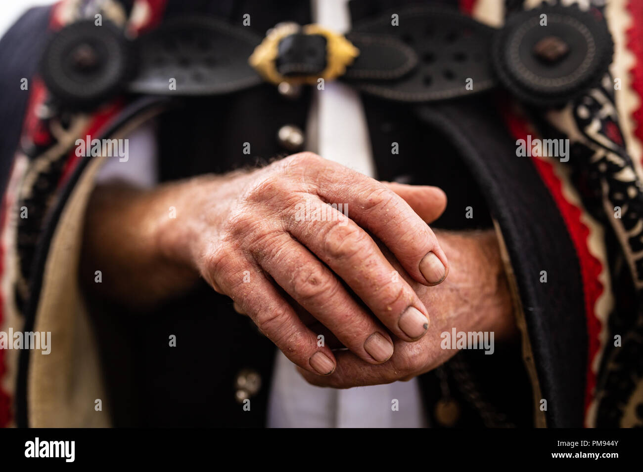 Die Hände eines ungarischen Hirten aus der Hortobagy region Stockfoto