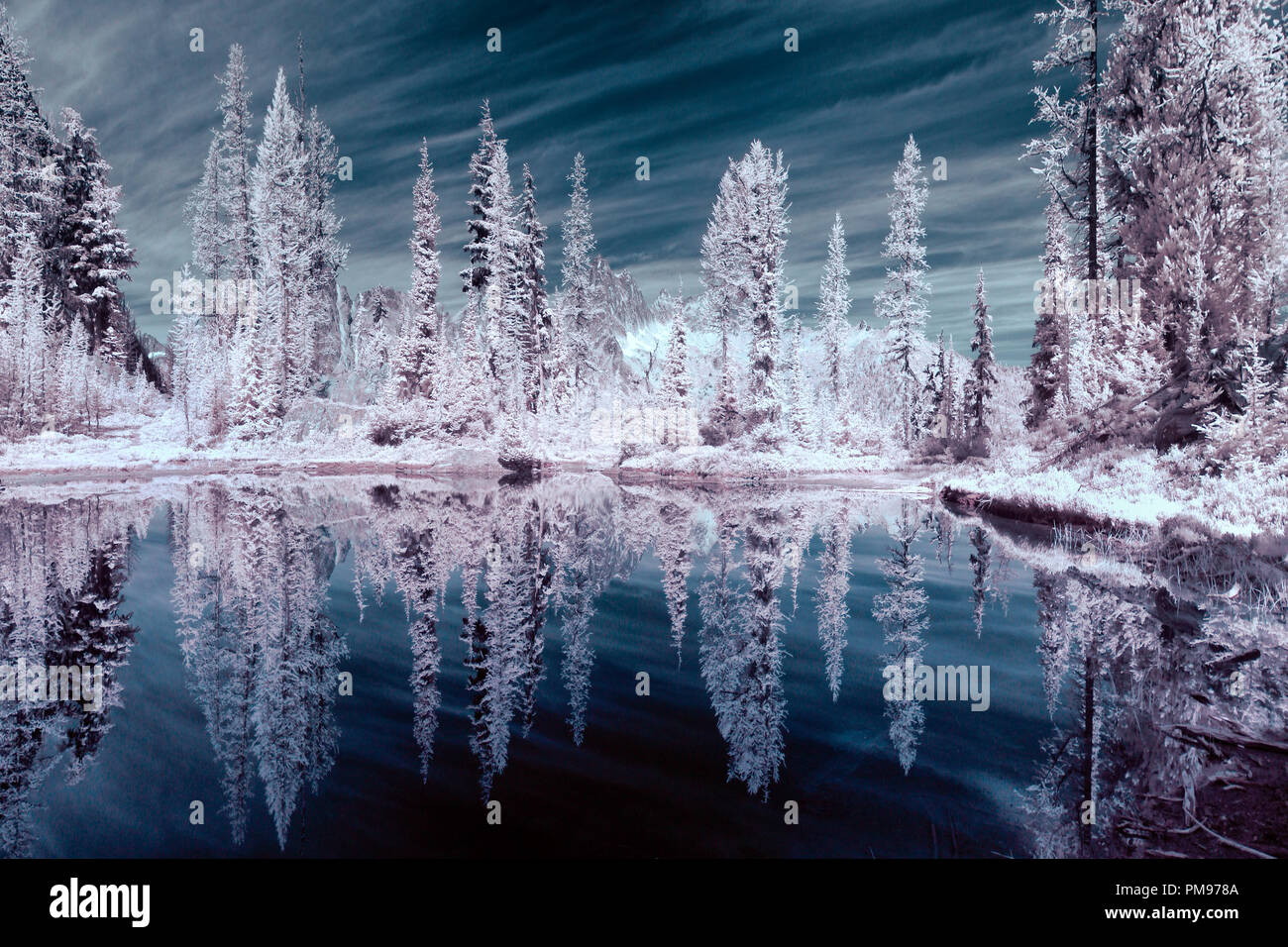 Infrarot Bäume in einem Berg Teich widerspiegelt Stockfoto