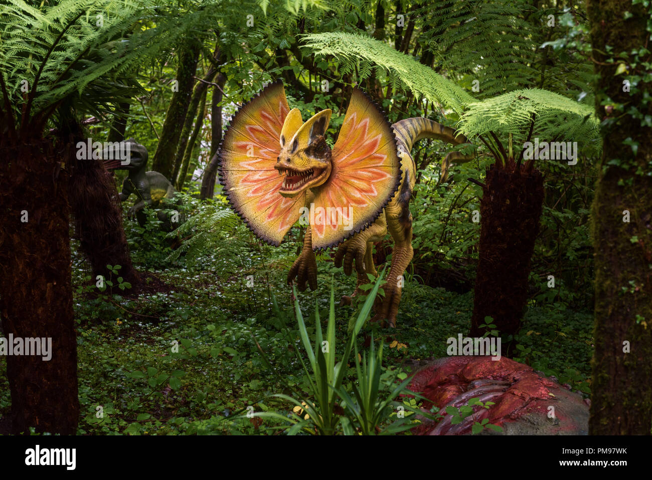 Bei dilophosaurus Dinosaurier Park, National Showcaves, Dan yr Ogof, Wales, Großbritannien Stockfoto