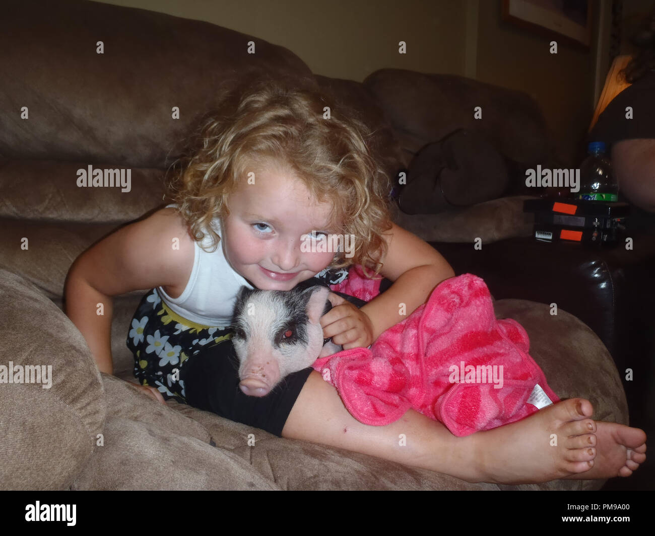 "Hier kommt "Honig Honig Buh Buh Buh Buh (Alana) und Ihr neues Haustier Schwein, schillernd. Stockfoto