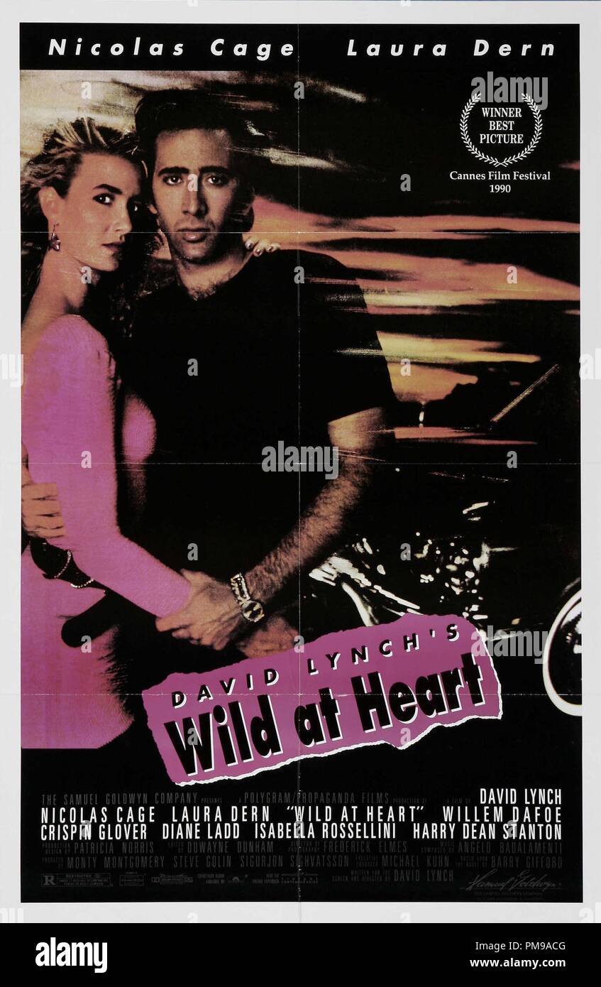 Studio Werbung: "Wild at Heart" 1990 Samuel Goldwyn Company Poster Nicolas Cage, Laura Dern Datei Referenz # 31955 024 THA Stockfoto