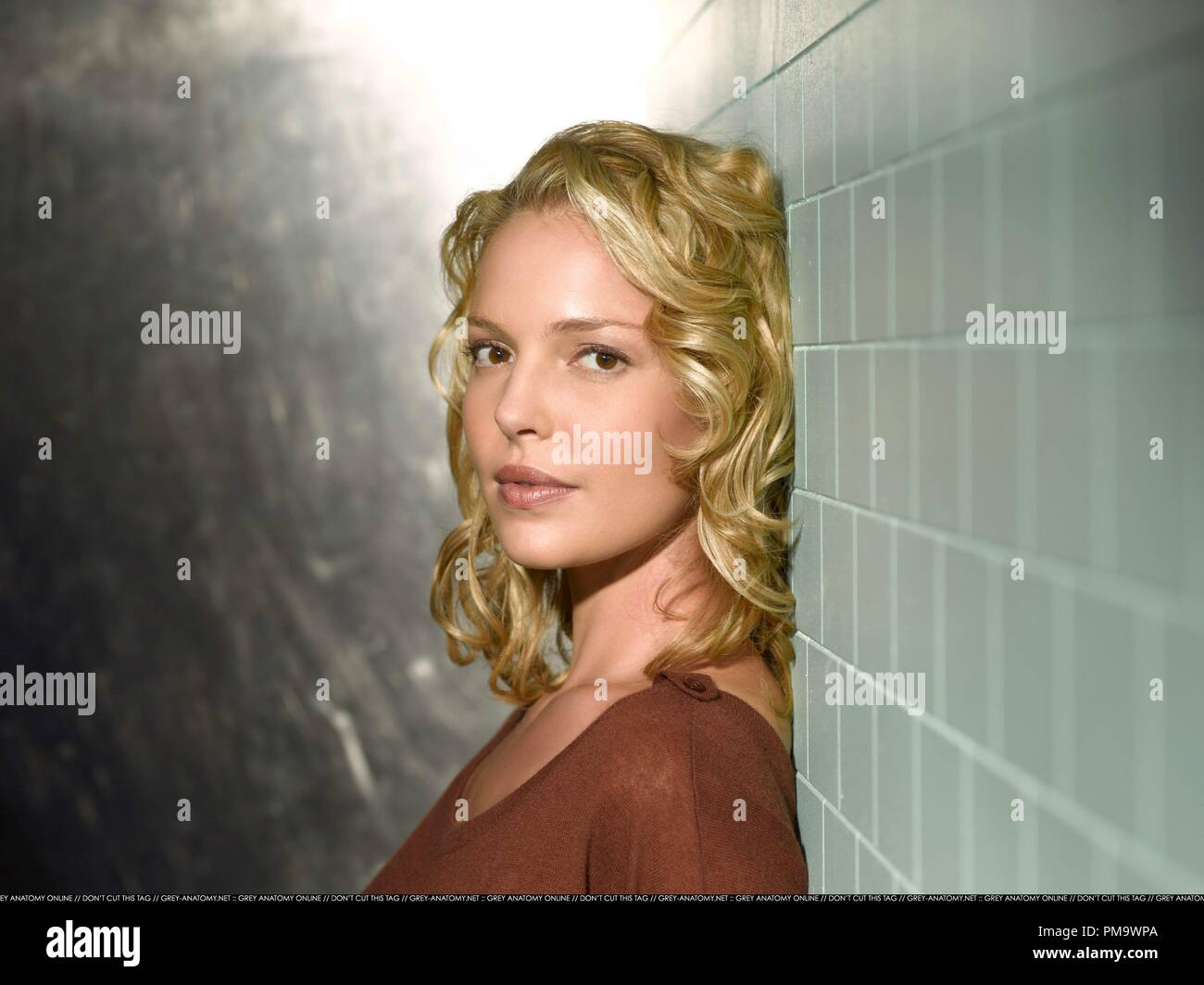 Grey's Anatomy - ABC's 'Grey's Anatomy' stars Katherine Heigl als Izzie Stevens. Stockfoto