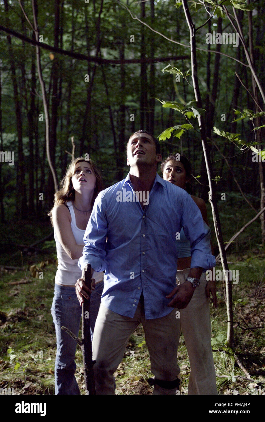 Jessie (Eliza Dushku, links), Chris (Desmond Harrington) und Carly (Emmanuelle Chriqui) reagieren auf eine Bedrohung von oben. "Wrong Turn" (2003) Stockfoto