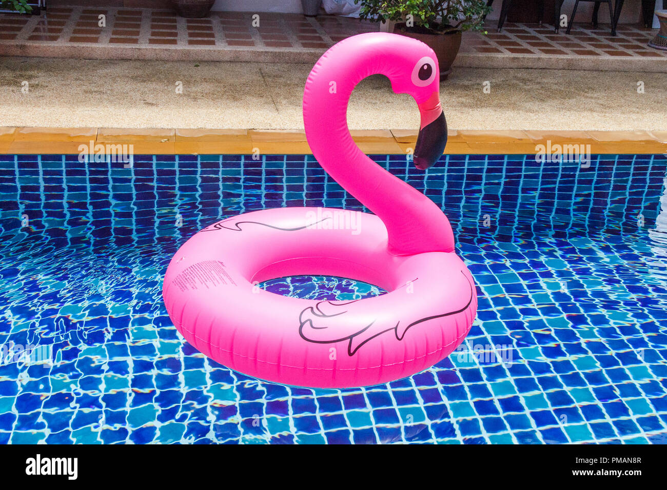 Flamingo Flotation Gerät im Schwimmbad Stockfoto