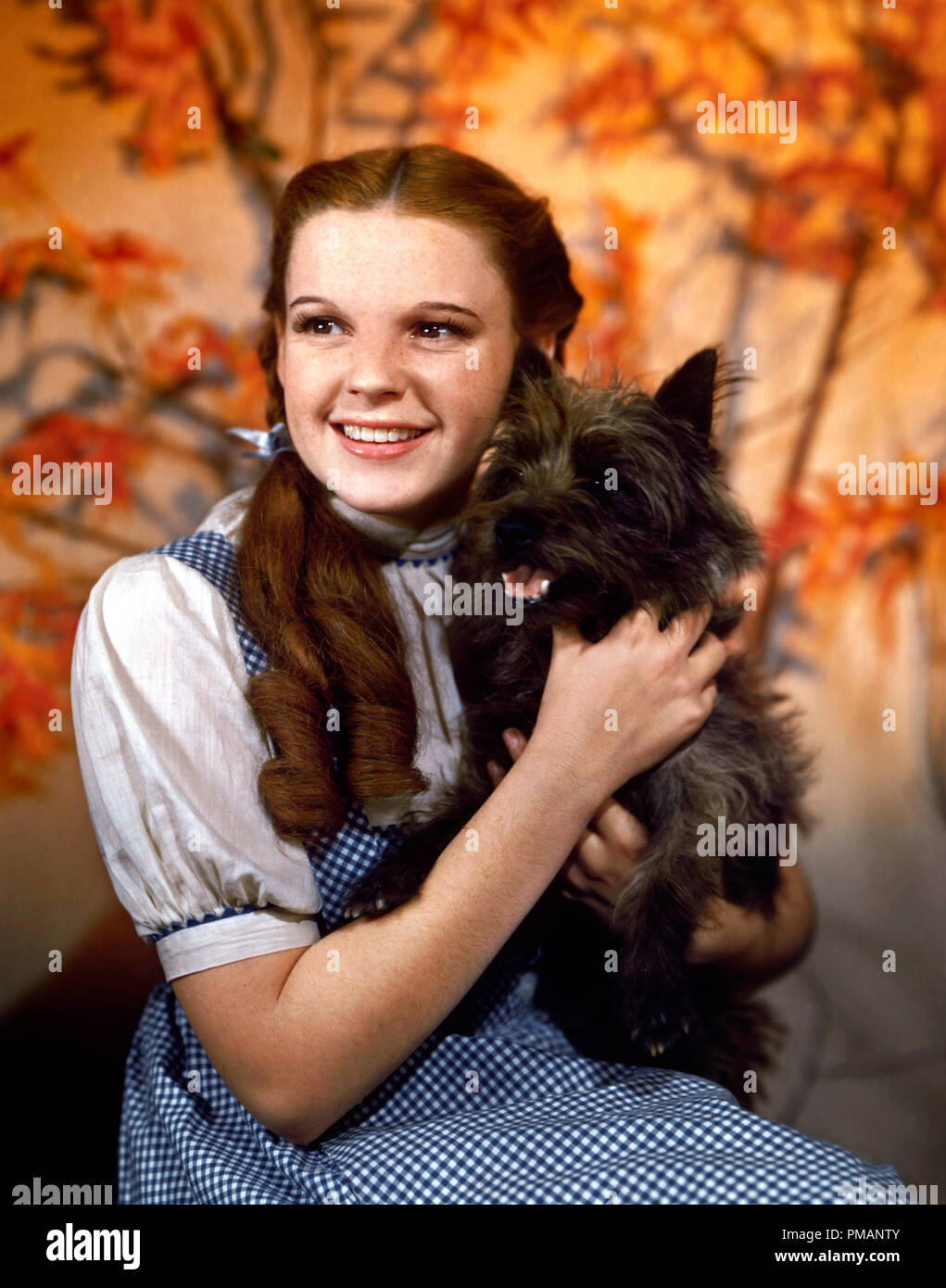 Studio Publicity still: 'The Wizard of Oz' Judy Garland 1939 MGM File Reference # 32039 203THA Stockfoto