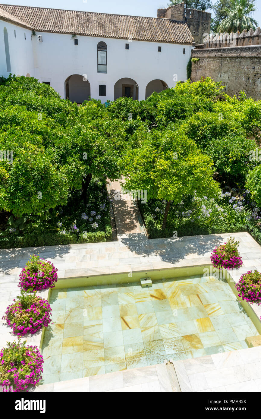 Spanien, Cordoba, Europa, ANZEIGEN VON ANLAGEN, DIE VON SCHWIMMBAD IN GEBÄUDE Stockfoto