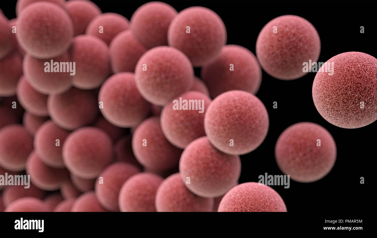 3D-computer-generierten Bild einer Gruppe von Methicillin-resistente, Staphylococcus aureus (MRSA)-Bakterien, Stockfoto
