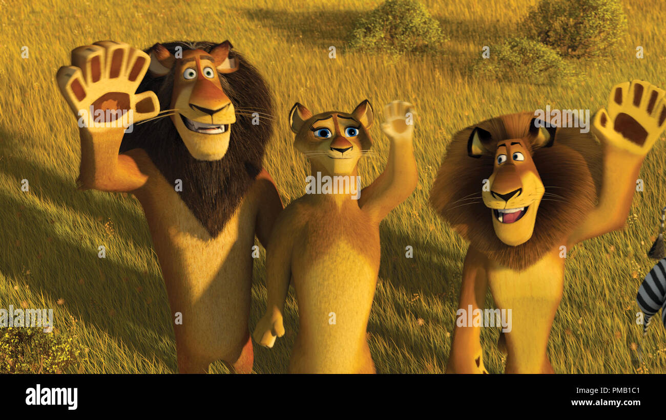 (Nach rechts) Alpha lion Zuba (BERNIE MAC), seine Frau (SHERRI SHEPHERD) und seinem Sohn Alex (Ben Stiller) Angebot der Nicht-mehr-gestrandete Touristen in DreamWorks' adieu "Madagascar: Escape 2 Africa." "Madagascar: Escape 2 Africa" (2008) von DreamWorks Animation L.L.C Links Stockfoto