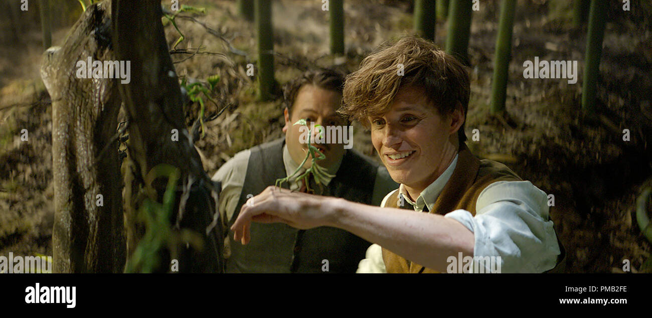 Newt Scamander Stockfotos Und Bilder Kaufen Alamy