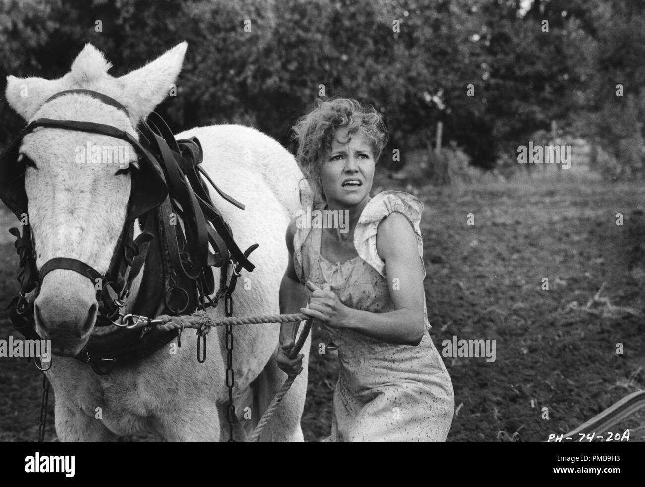 Sally Field, "Orte im Herzen', 1984 Datei Referenz # 32557 793 THA Stockfoto