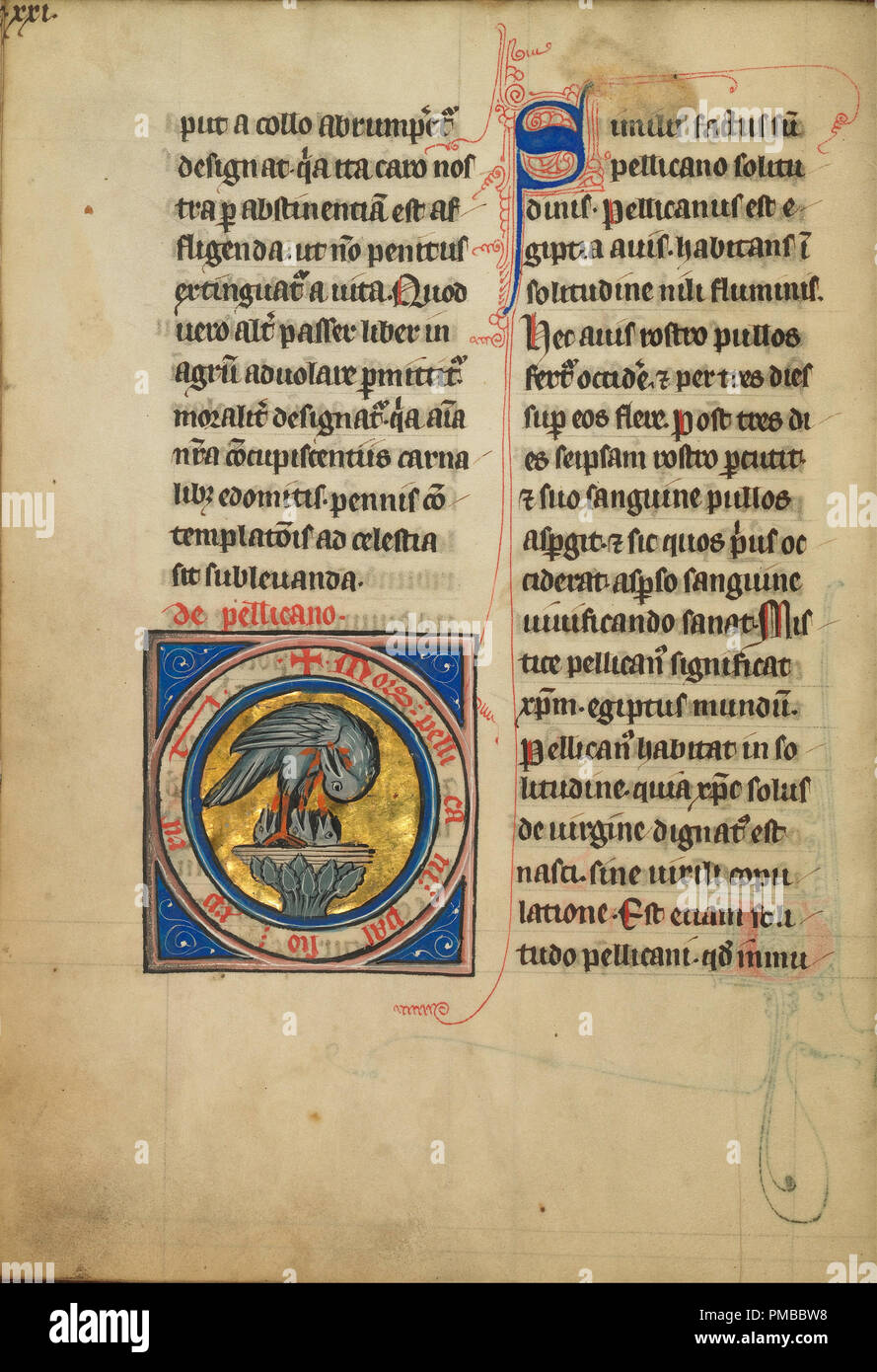 Ein Pelikan, der seine Jungen. Datum/Zeitraum: Viertes Quartal des 13. Jahrhunderts (nach 1277). Folio. Tempera Farben, Feder und Tinte, Blattgold und Gold Farbe auf Pergament. Höhe: 233 mm (9.17 in); Breite: 164 mm (6.45 in). Autor: Unbekannt. Stockfoto