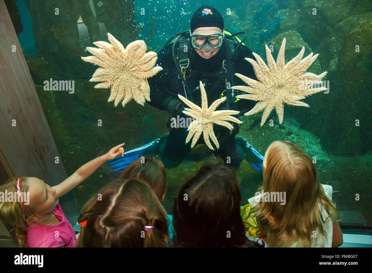 Kinder im Alaska SeaLife Center. Seward, Alaska. Stockfoto