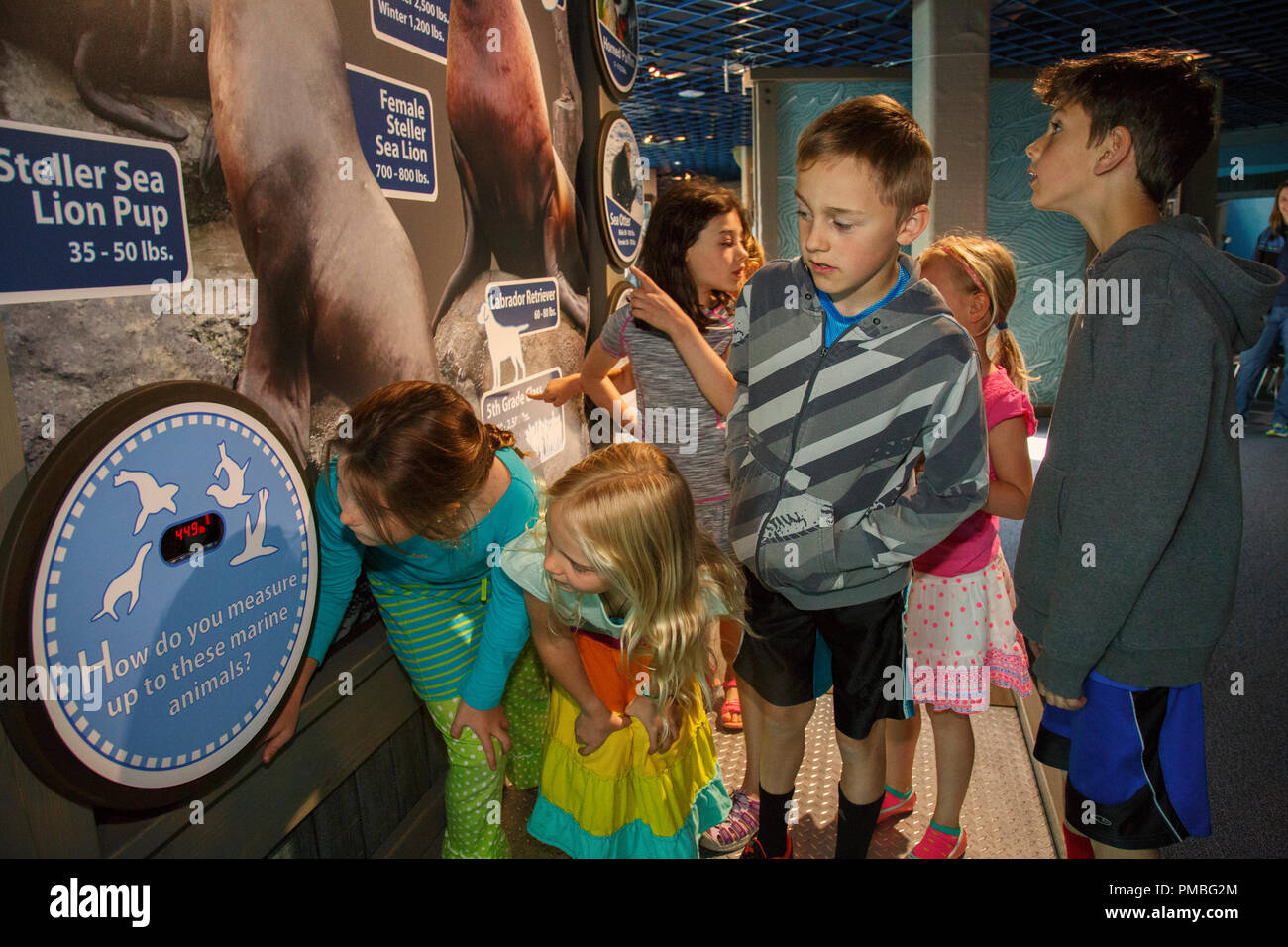Kinder im Alaska SeaLife Center. Seward, Alaska. Stockfoto