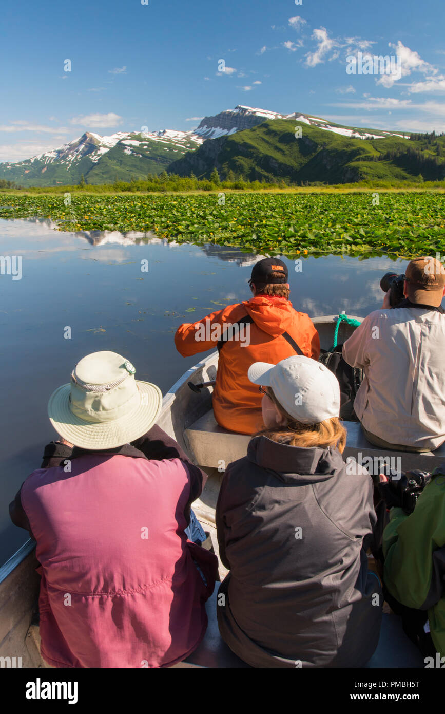 Lily Pond, Lake Clark National Park, Alaska. Stockfoto