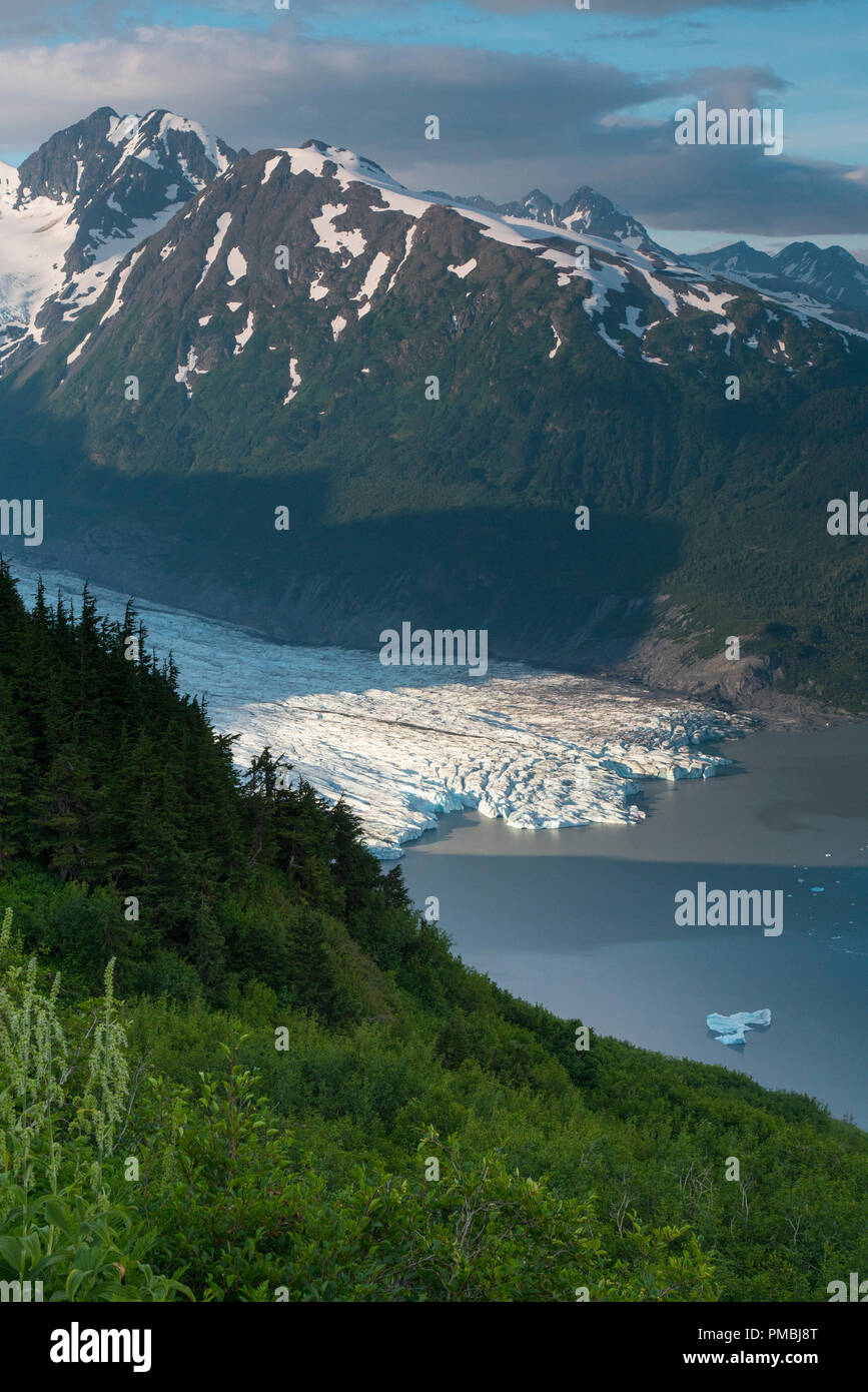 Anzeigen von Spencer Gletscher Sitzbank Kabine, Chugach National Forest, Alaska. Stockfoto