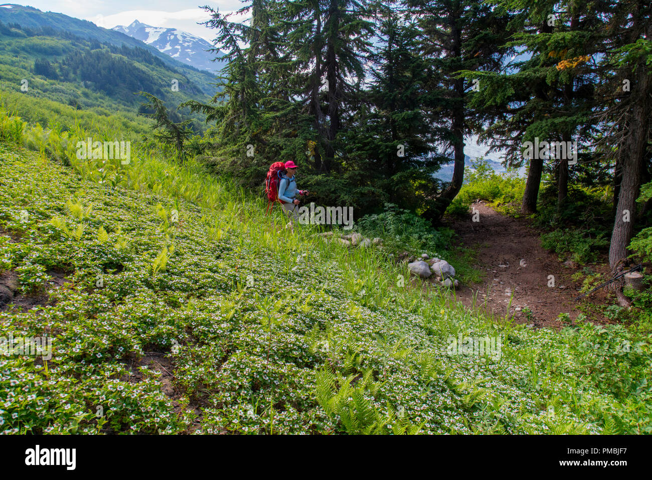 Rucksack zur Spencer Gletscher Sitzbank Kabine, Chugach National Forest, Alaska. Stockfoto