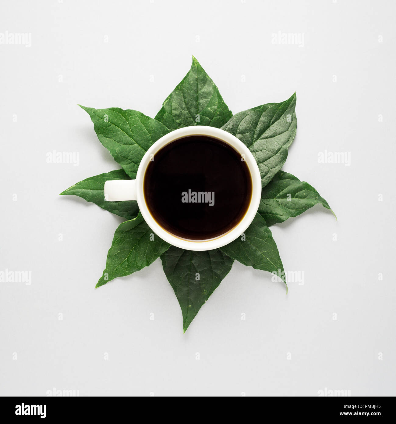Kreatives Konzept Foto von Kaffee Tasse mit Blättern auf grauem Hintergrund. Stockfoto