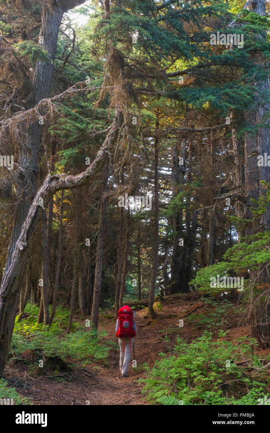 Rucksack zur Spencer Gletscher Sitzbank Kabine, Chugach National Forest, Alaska. Stockfoto