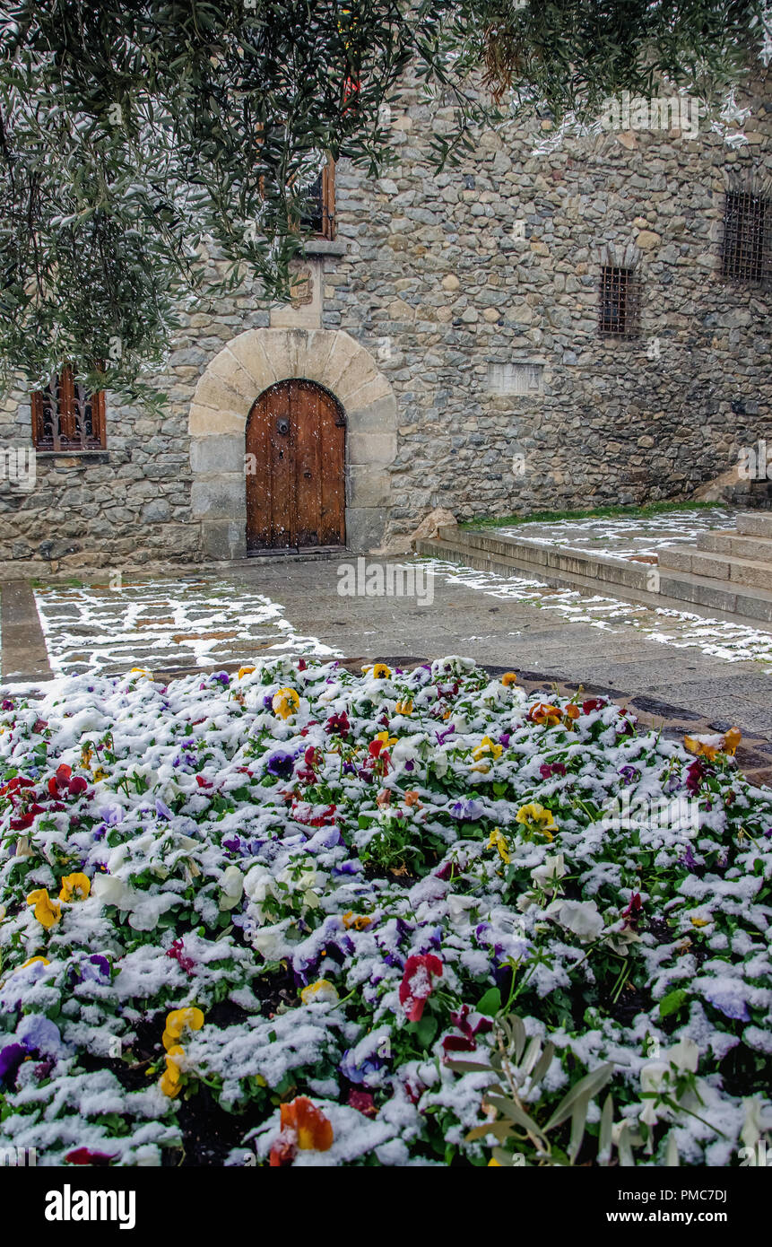 Schönen Straße von Andorra la Vella Stadt durch plötzliche Schnee gefangen. Blühen bunte Leben Blumen unter Schneedecke im Vordergrund. Allgemeinen Rat und Stockfoto