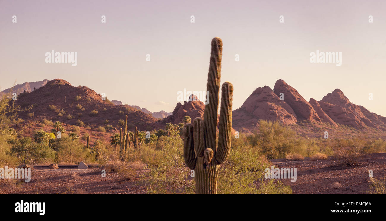 Camelback Mountain von Papago Park Phoenix Arizona gesehen Stockfoto