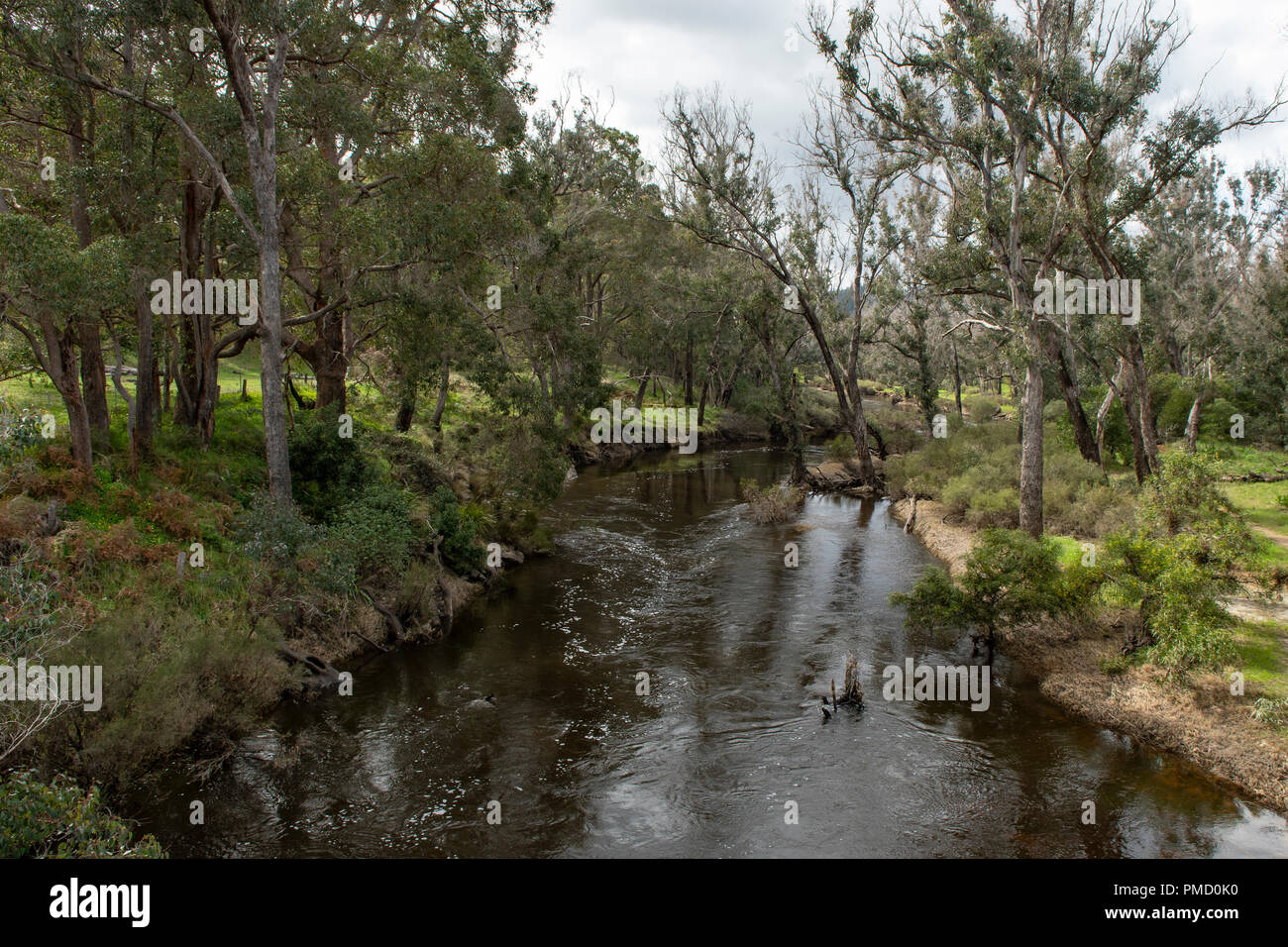 Blackwood River, Nannup, WA, Australien Stockfoto