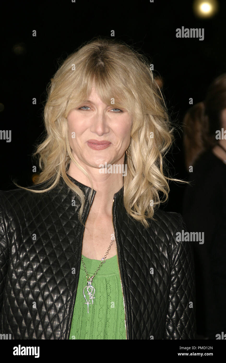 Jahr des Hundes (Premiere) Laura Dern 4-5-2007/Paramount Pictures Theater/Hollywood, CA/Paramount Pictures/Foto von Joseph Martinez - Alle Rechte vorbehalten File Reference # 22986 0049 PLX für redaktionelle Verwendung Stockfoto