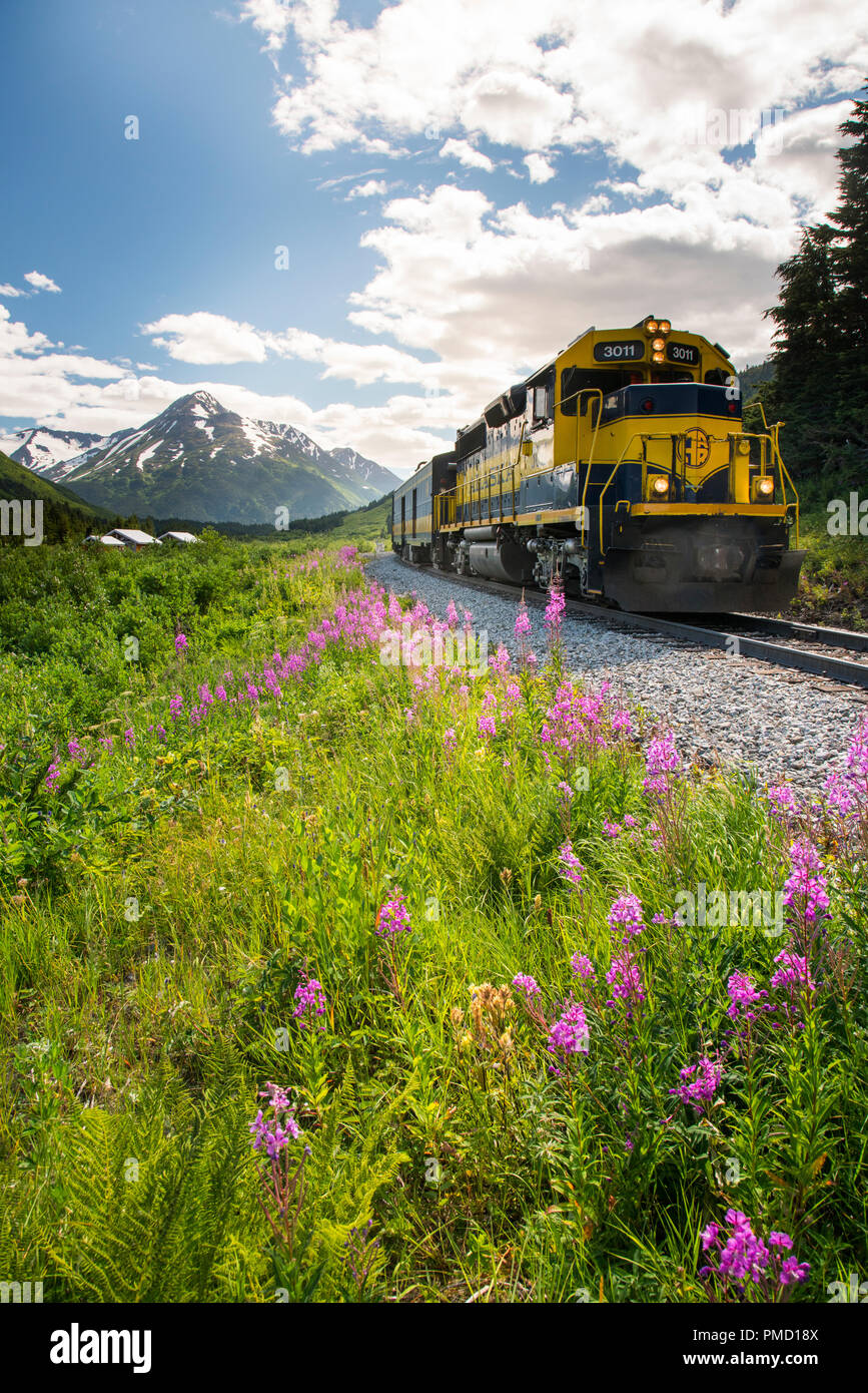 Alaska Railroad Glacier Discovery Zugfahrt, Chugach National Forest, Alaska. Stockfoto