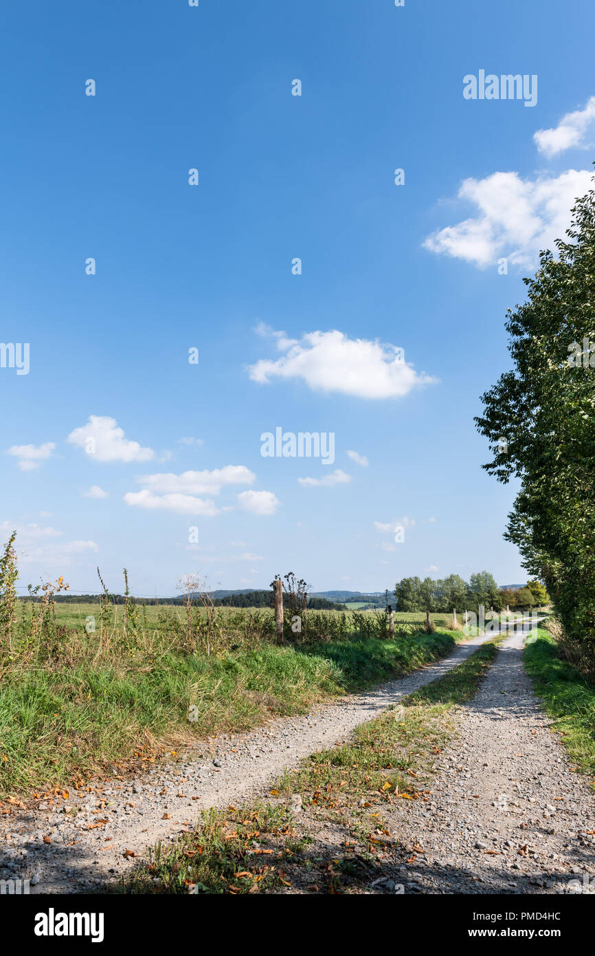 Ein Track über die Felder im Sommer mit einem blauen Himmel. Stockfoto