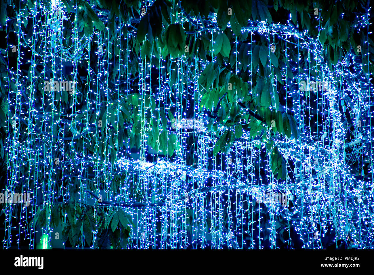Geschmückte Bäume mit bunten Lichtern und Ornamente auf Stadt Straße in der Weihnachtszeit in der Nacht in Bangkok, Thailand Stockfoto