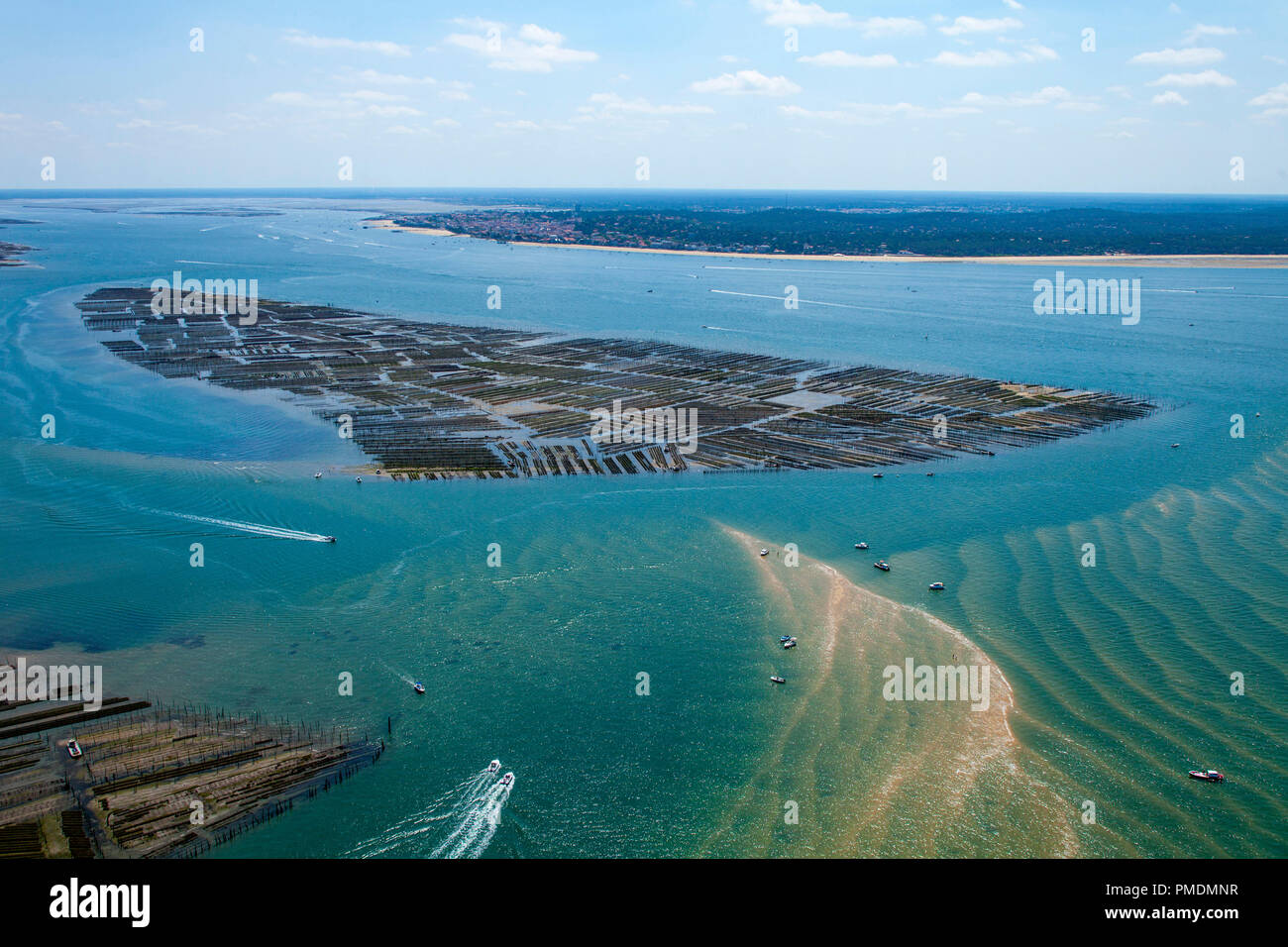 Bucht von Arcachon (Frankreich): Luftaufnahme der Austernbänke. Austernbänke der Sandbank in der Nähe der "Ile aux Oiseaux" (Bird's Island) (nicht verfügbar Stockfoto