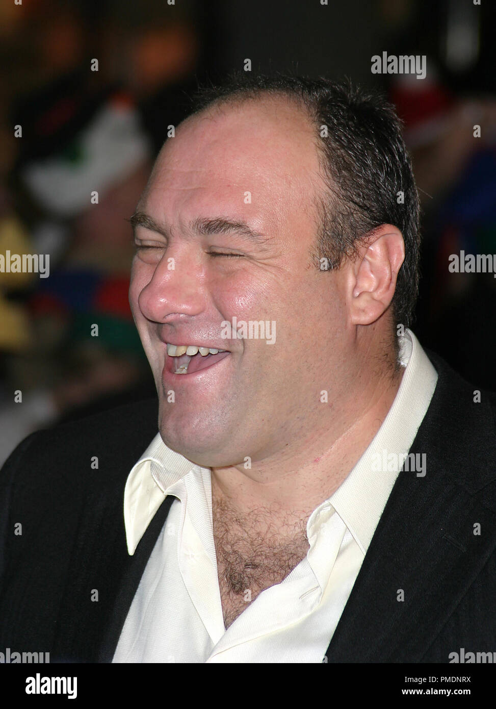 Der Hinterreifen Weihnachten 'Premiere James Gandolfini Foto von Joseph Martinez - Alle Rechte vorbehalten File Reference # 21984 0046 PLX für redaktionelle Verwendung Stockfoto