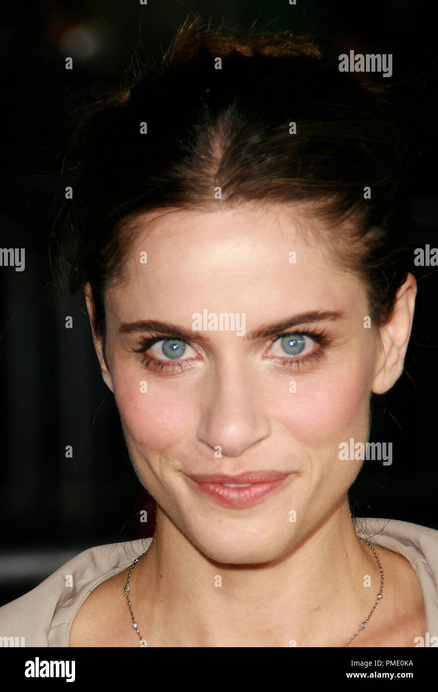 "Das Königreich" (Premiere) Amanda Peet 10-17-2007/Manns Dorf Westwood/Los Angeles, CA/Universal Pictures/Foto von Joseph Martinez Datei Referenz # 23186 0033 JM für die redaktionelle Nutzung nur - Stockfoto