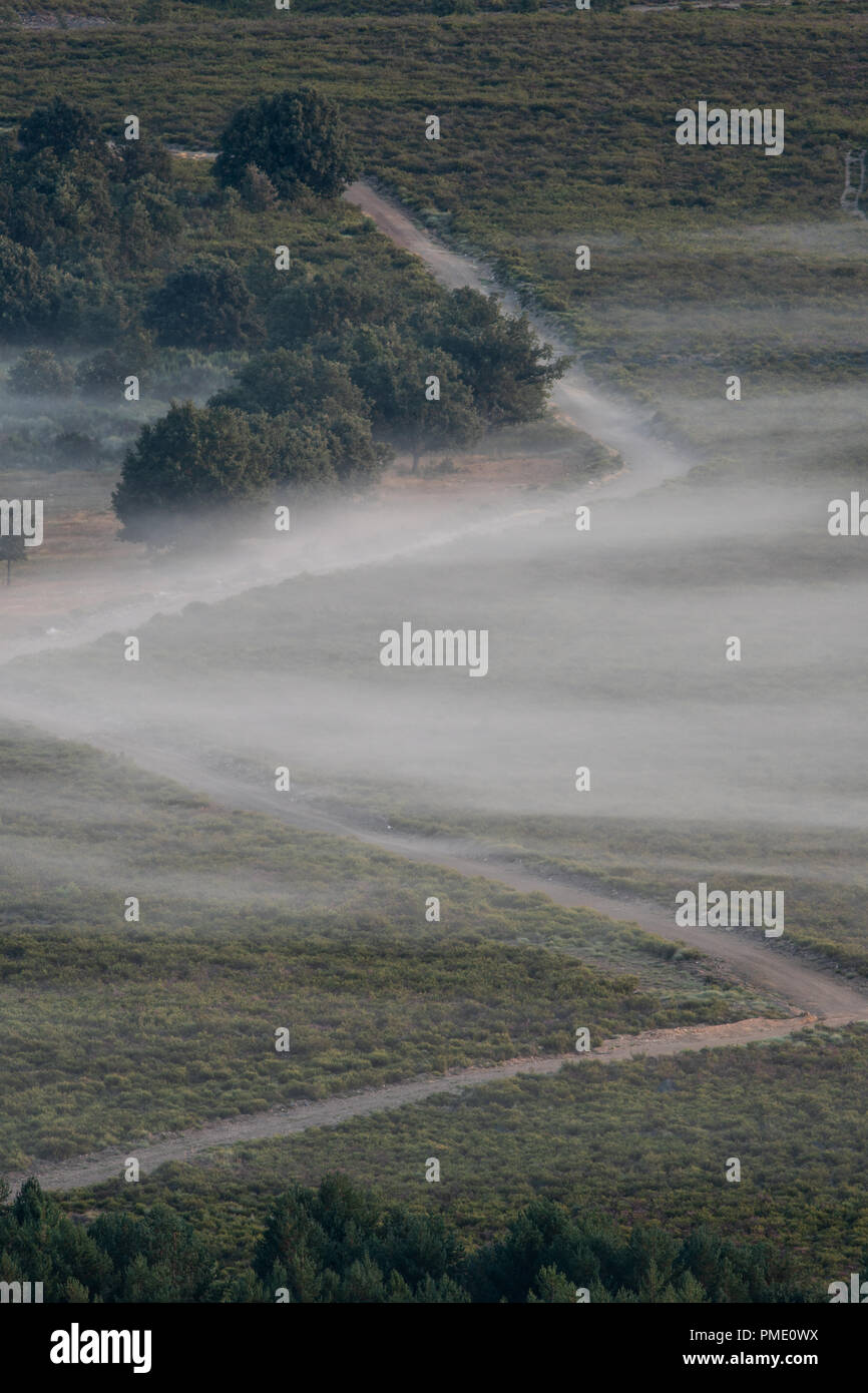 Zick-zack-Track mit Nebel und Bäume, vertikalen Zusammensetzung Stockfoto