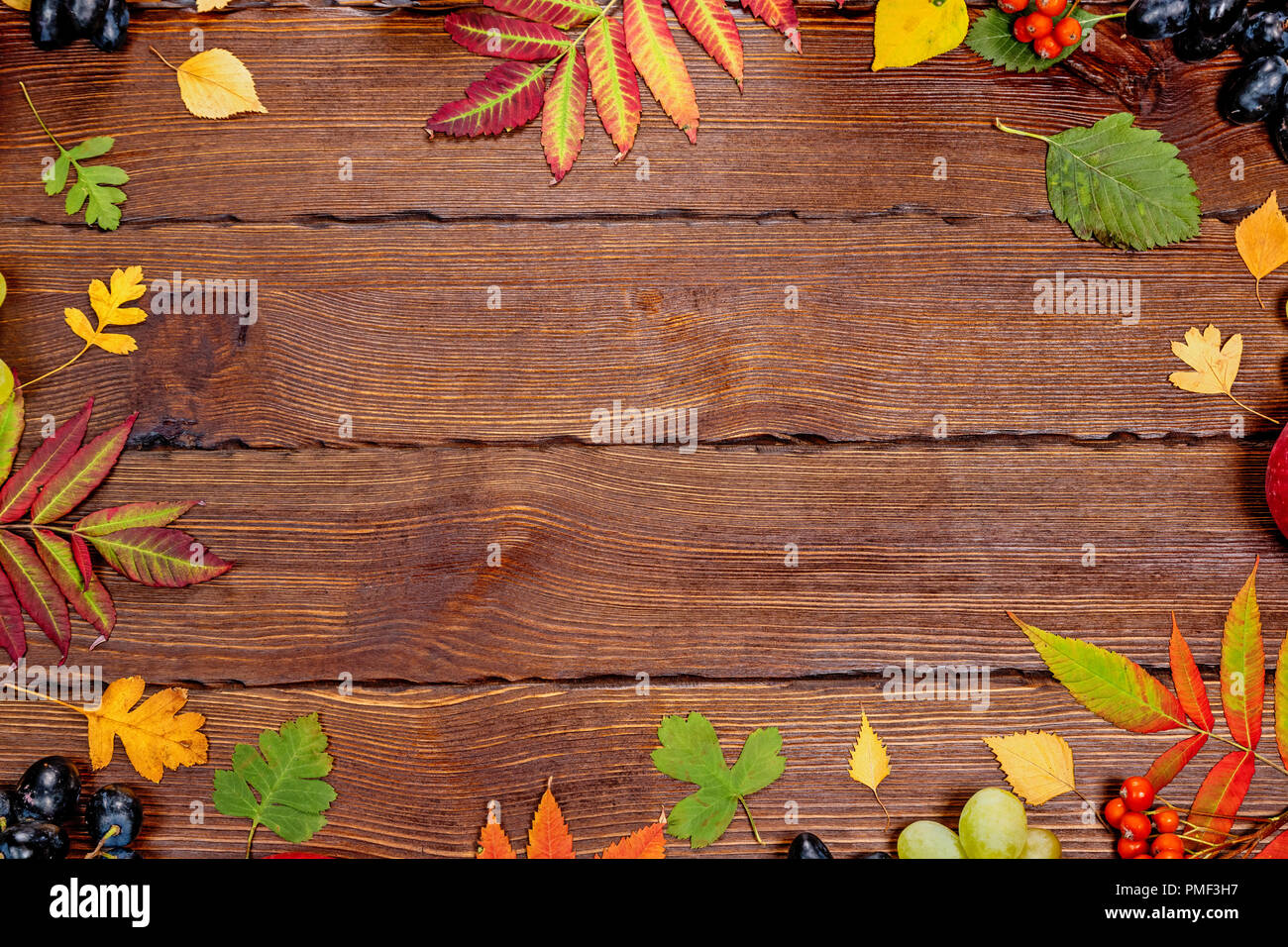 Herbst Hintergrund mit Gelb, mit hellen Blätter, Tannenzapfen, Kastanien und Beeren. Frame Herbst Ernte auf abgelagertem Holz mit freiem Speicherplatz. Die LAYOU Stockfoto