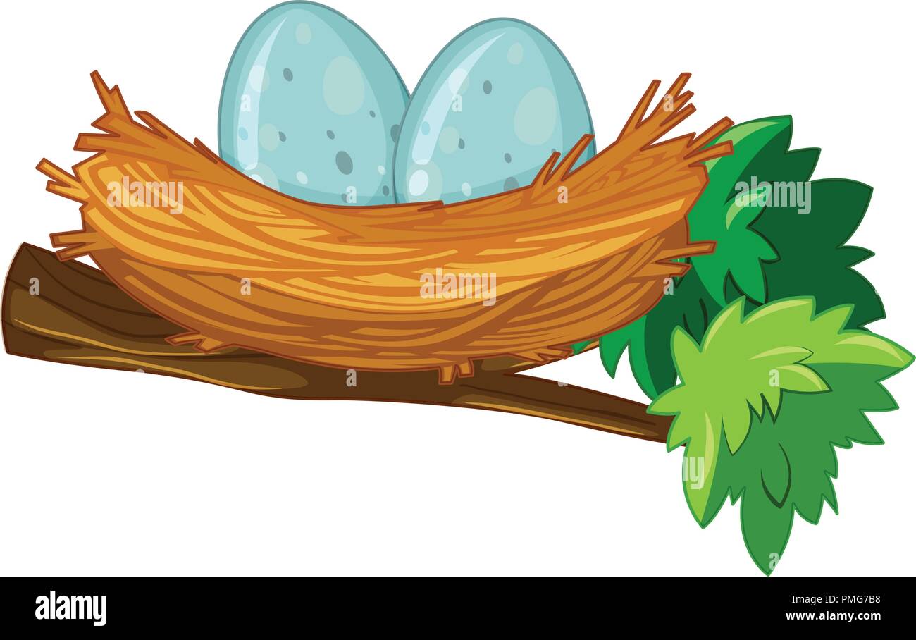 Zwei Eier im Nest Abbildung Stock Vektor