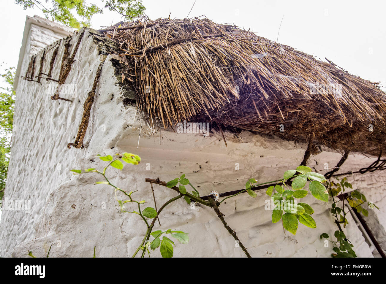 Bunratty Reetdachhäuser Stockfoto
