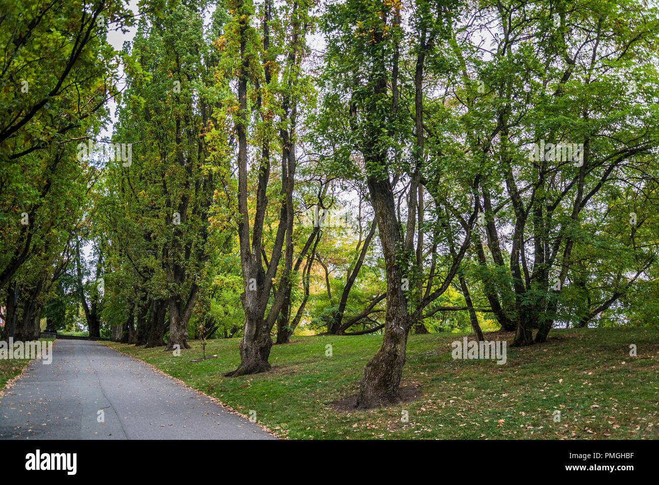 Oslo botanischer garten norwegen norwegisch Fotos und Bildmaterial in