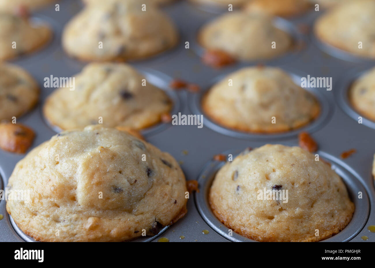 Vorderansicht von mehreren frisch gebackenem warmen mundgerechte Chocolate Chip Muffins in einem Mini muffin Backform mit den ersten beiden im Fokus. Stockfoto