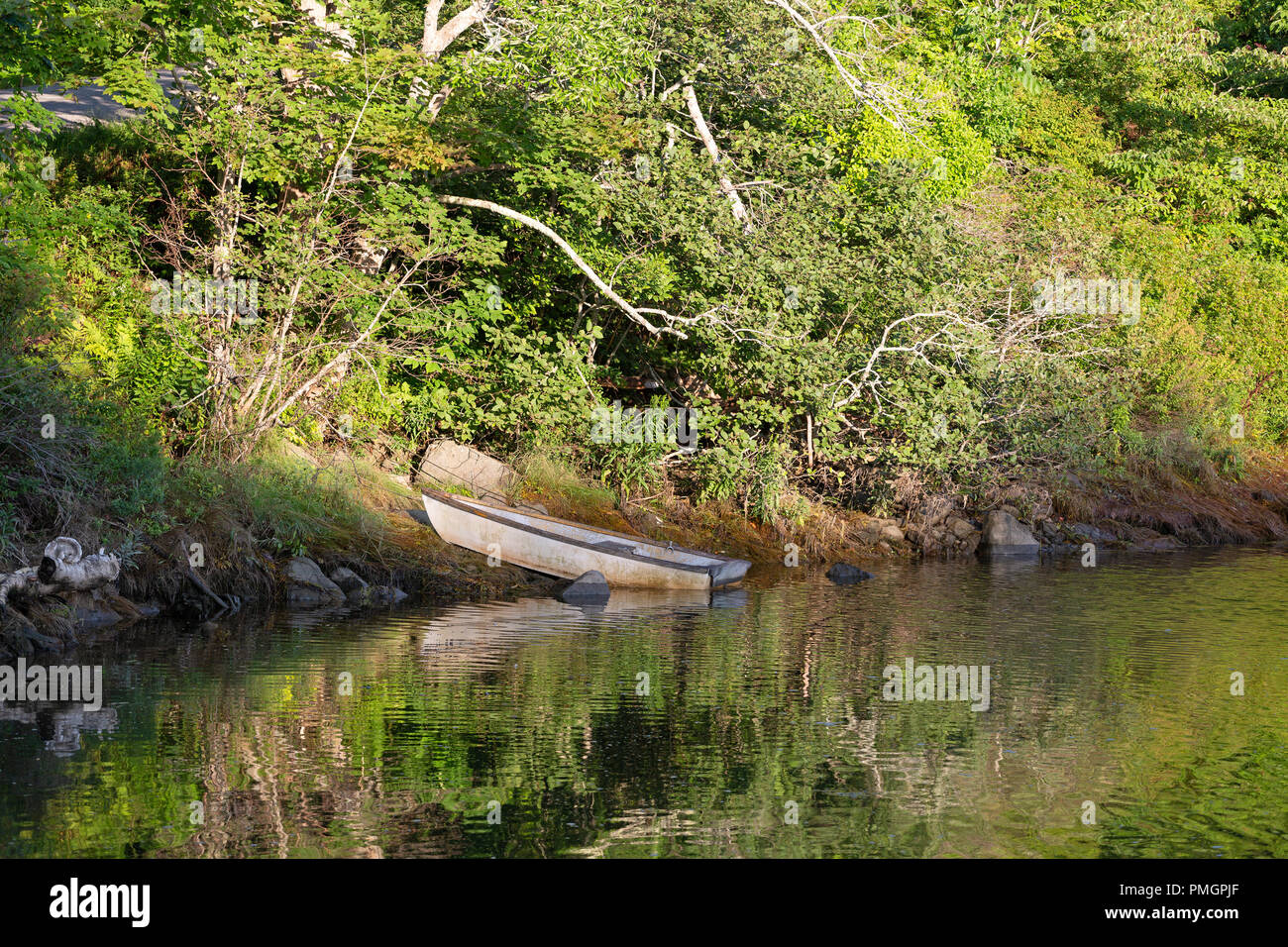 Blick auf eine kleine alte weiß lackiert Skiff oben auf Ufer mit den Überlegungen der Grünen auf der Wasseroberfläche reflektiert gebunden. Stockfoto
