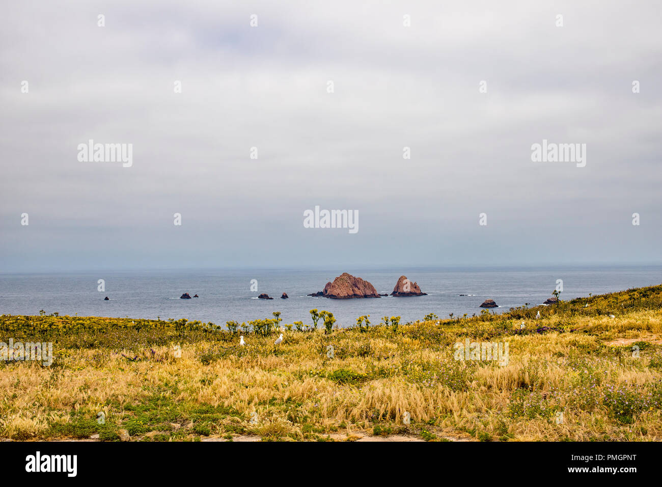 Berlengas Inseln, Portugal - Blick von einer der Inseln im Berlenga Archilpelago Stockfoto