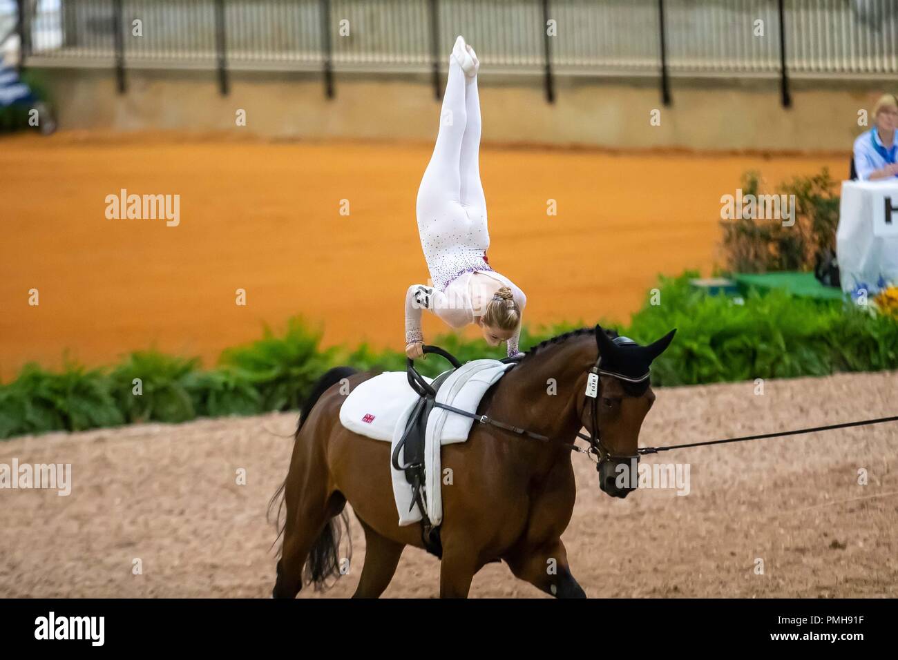 Tryon North Carolina, USA. 18 Sep, 2018. Lucy Phillips. Demezza. Linger Julie Newell. GBR. Vaulting. Die einzelnen weiblichen Konkurrenz. Tag 7. World Equestrian Games. WEG 2018 Tryon. North Carolina. USA. 18.09.2018. Credit: Sport in Bildern/Alamy leben Nachrichten Stockfoto Tryon North Carolina, USA. 18 Sep, 2018. Lucy Phillips. Demezza. Linger Julie Newell. GBR. Vaulting. Die einzelnen weiblichen Konkurrenz. Tag 7. World Equestrian Games. WEG 2018 Tryon. North Carolina. USA. 18.09.2018. Credit: Sport in Bildern/Alamy leben Nachrichten Stockfoto
