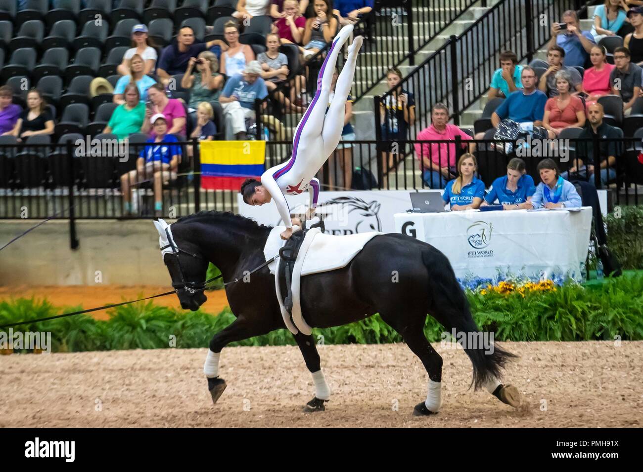 Tryon North Carolina, USA. 18 Sep, 2018. Rebecca Norval. Edinburgh 23. Lunger Saacha de Ambrossio. GBR. Vaulting. Die einzelnen weiblichen Konkurrenz. Tag 7. World Equestrian Games. WEG 2018 Tryon. North Carolina. USA. 18.09.2018. Credit: Sport in Bildern/Alamy leben Nachrichten Stockfoto Tryon North Carolina, USA. 18 Sep, 2018. Rebecca Norval. Edinburgh 23. Lunger Saacha de Ambrossio. GBR. Vaulting. Die einzelnen weiblichen Konkurrenz. Tag 7. World Equestrian Games. WEG 2018 Tryon. North Carolina. USA. 18.09.2018. Credit: Sport in Bildern/Alamy leben Nachrichten Stockfoto