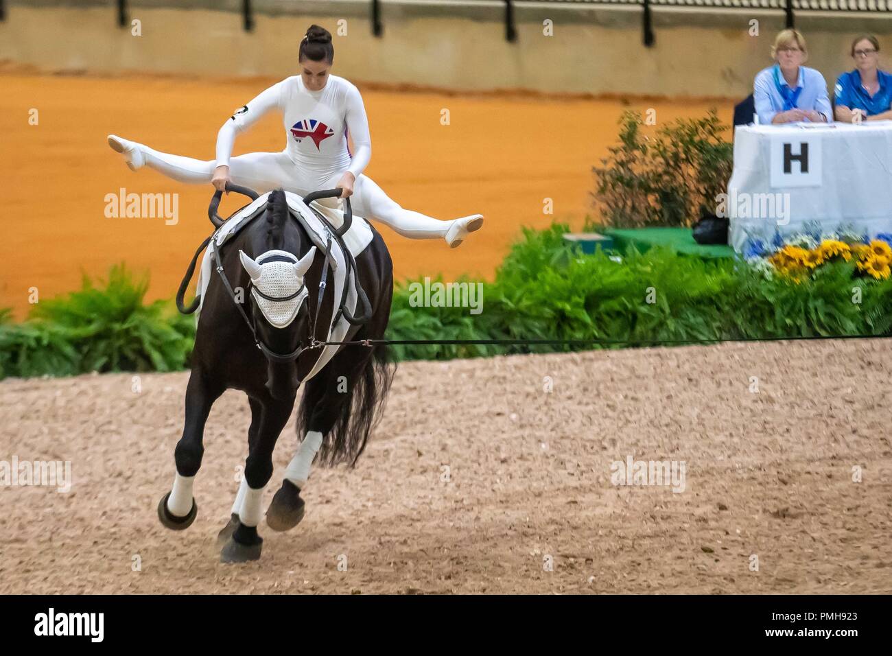 Tryon North Carolina, USA. 18 Sep, 2018. Rebecca Norval. Edinburgh 23. Lunger Saacha de Ambrossio. GBR. Vaulting. Die einzelnen weiblichen Konkurrenz. Tag 7. World Equestrian Games. WEG 2018 Tryon. North Carolina. USA. 18.09.2018. Credit: Sport in Bildern/Alamy leben Nachrichten Stockfoto Tryon North Carolina, USA. 18 Sep, 2018. Rebecca Norval. Edinburgh 23. Lunger Saacha de Ambrossio. GBR. Vaulting. Die einzelnen weiblichen Konkurrenz. Tag 7. World Equestrian Games. WEG 2018 Tryon. North Carolina. USA. 18.09.2018. Credit: Sport in Bildern/Alamy leben Nachrichten Stockfoto