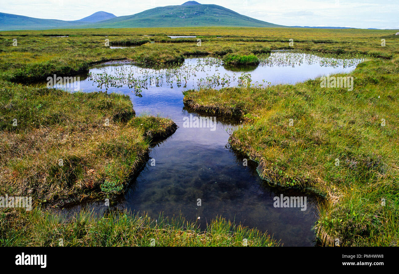The Flow Country, die letzten wilden Orte der Welt, Highlands, Schottland, Großbritannien, GB. Stockfoto