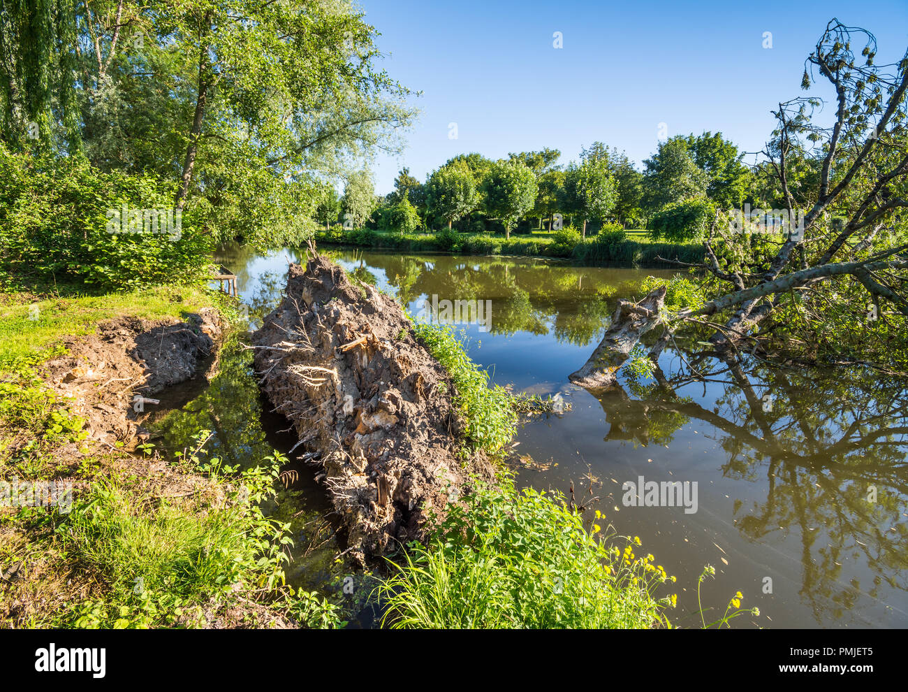 River Bank Erosion in Esche in den Fluss fallen - Frankreich. Stockfoto