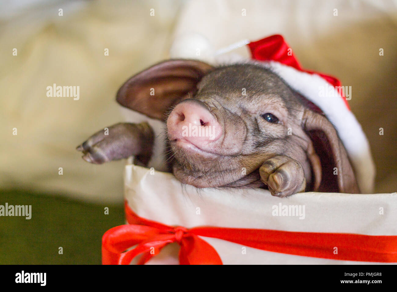 Neujahr Hintergrund Stockfotos Und Bilder Kaufen Alamy Neujahr Hintergrund Stockfotos Und Bilder Kaufen Alamy