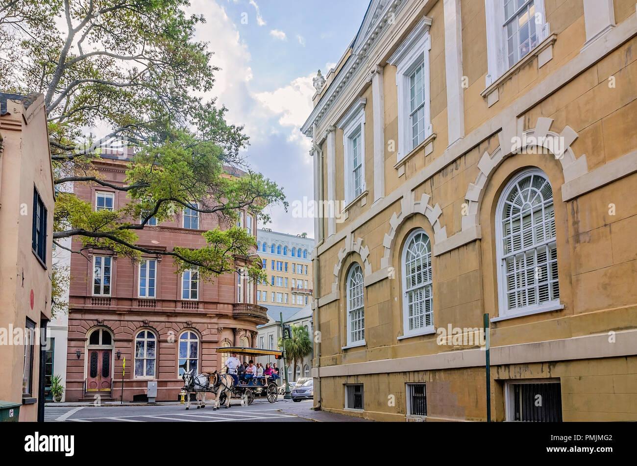 Ein Treiber mit Palmetto Carriage Works führt Touristen durch die Innenstadt von Charleston, 5. April 2015 in Charleston, South Carolina. Stockfoto