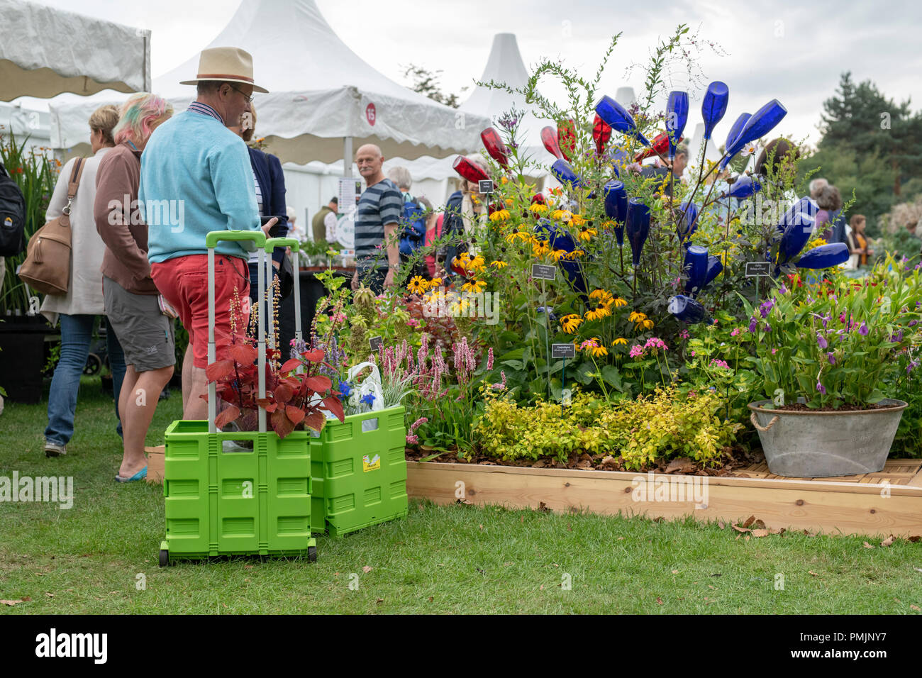 RHS Wisley Flower Show 2018. RHS Wisley Gardens, Surrey, Großbritannien Stockfoto